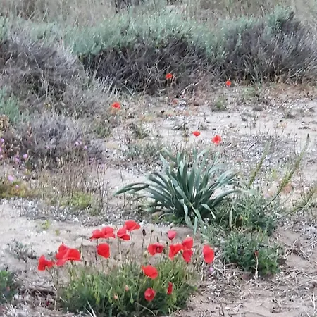 Holiday home Casa San Pietro Bevagna